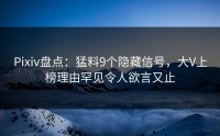 Pixiv盘点：猛料9个隐藏信号，大V上榜理由罕见令人欲言又止