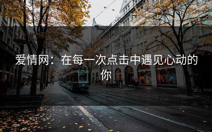 爱情网：在每一次点击中遇见心动的你