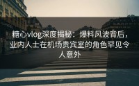 糖心vlog深度揭秘：爆料风波背后，业内人士在机场贵宾室的角色罕见令人意外