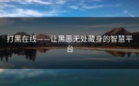 打黑在线——让黑恶无处藏身的智慧平台
