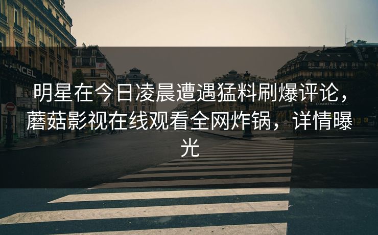 明星在今日凌晨遭遇猛料刷爆评论，蘑菇影视在线观看全网炸锅，详情曝光